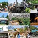 Best Zoos