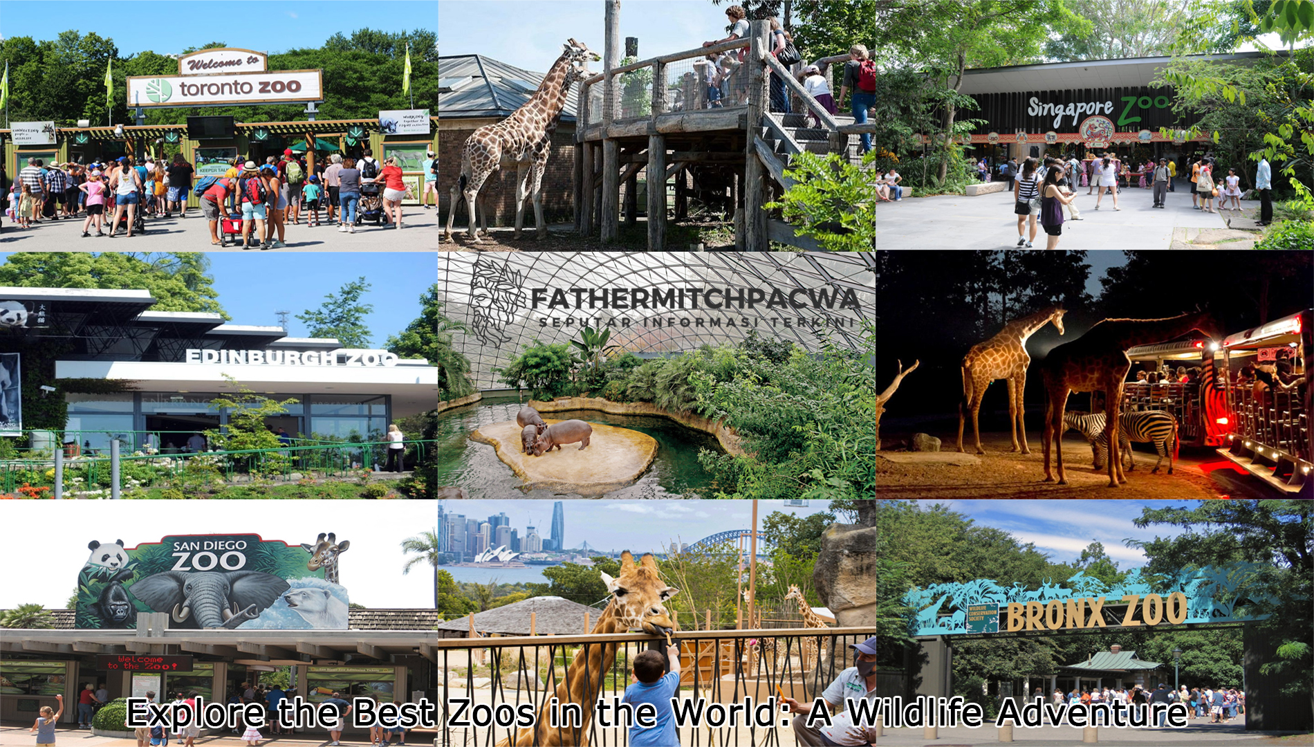 Best Zoos in the World A Wildlife Adventure