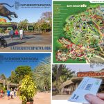 The San Diego Zoo