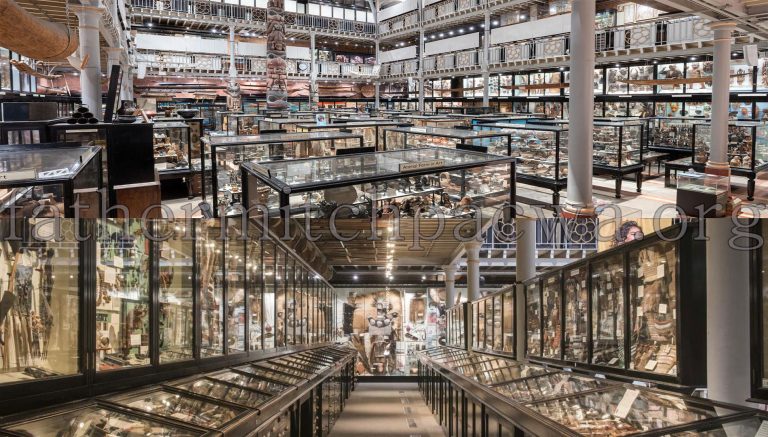 Pitt Rivers Museum