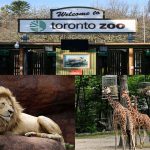 Toronto Zoo