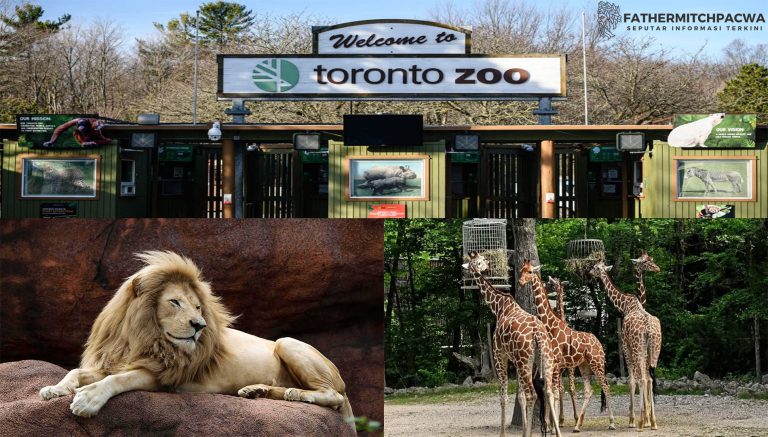 Toronto Zoo